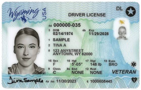 driver's license