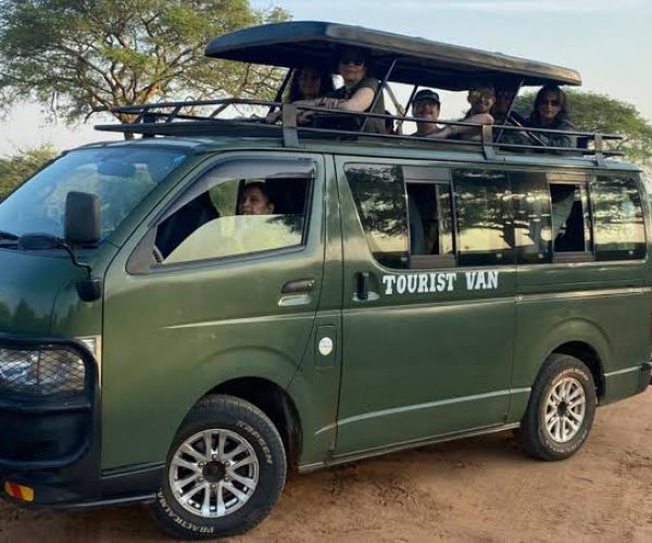 safari van